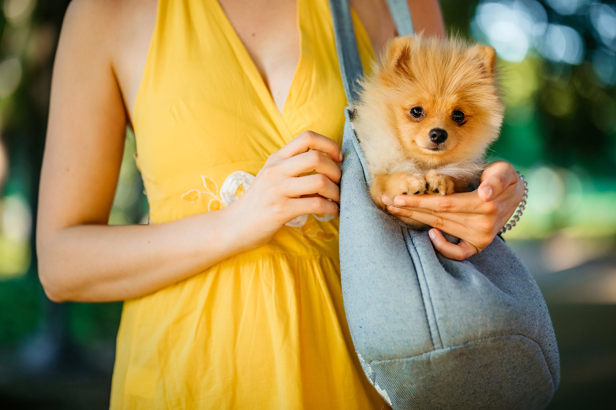 Pet Carrying bags